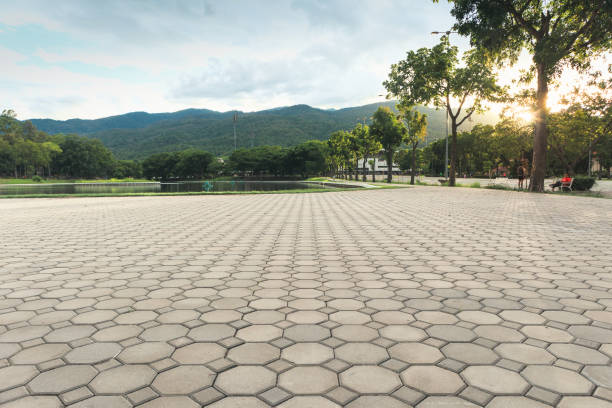 Best Affordable Driveway Pavers  in Warm Mineral Springs, FL